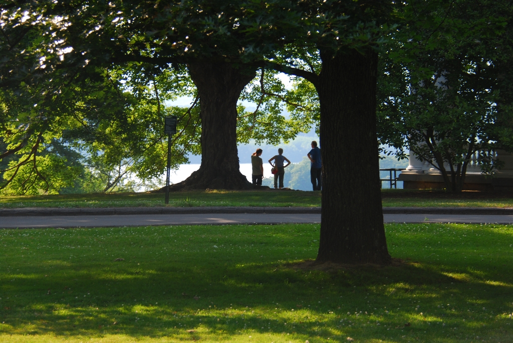DSC_1014.JPG